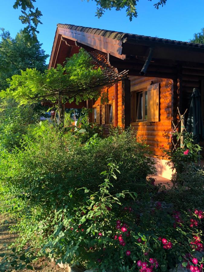 Chalet B&B Laghetti Martina Crevalcore Bagian luar foto