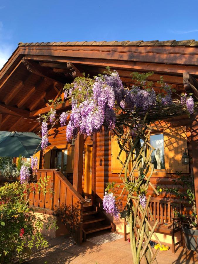 Chalet B&B Laghetti Martina Crevalcore Bagian luar foto
