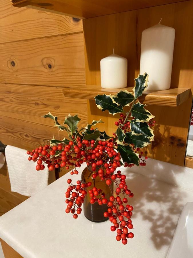 Chalet B&B Laghetti Martina Crevalcore Bagian luar foto